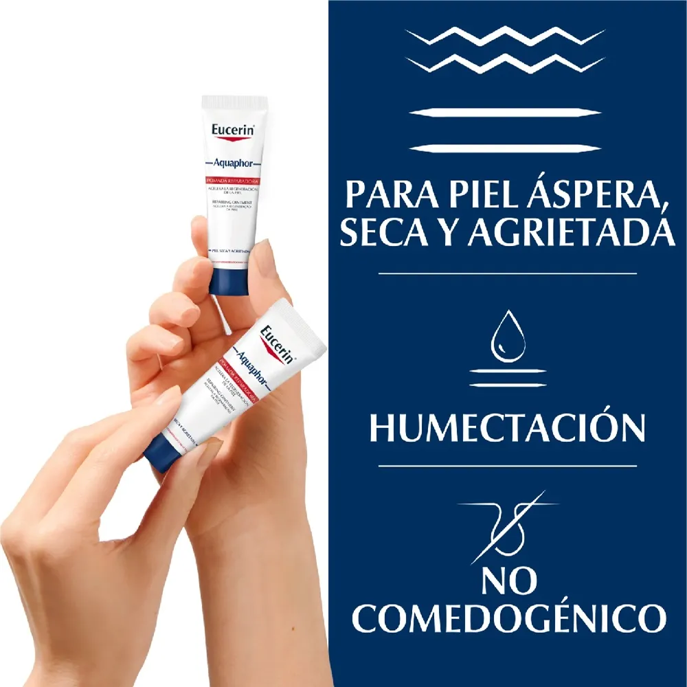 E220012-2.webp